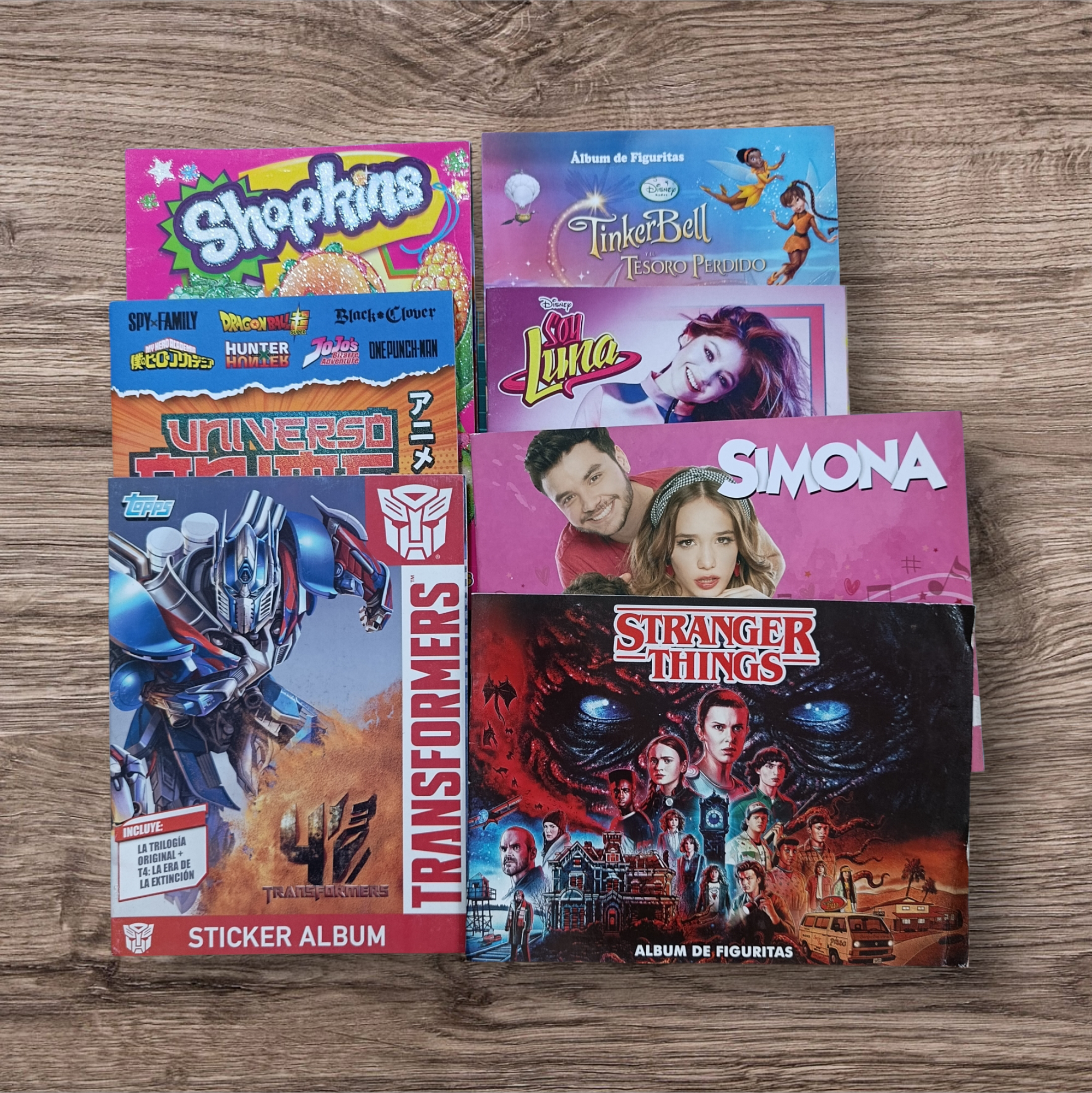 Lote 13 Álbumes vacíos