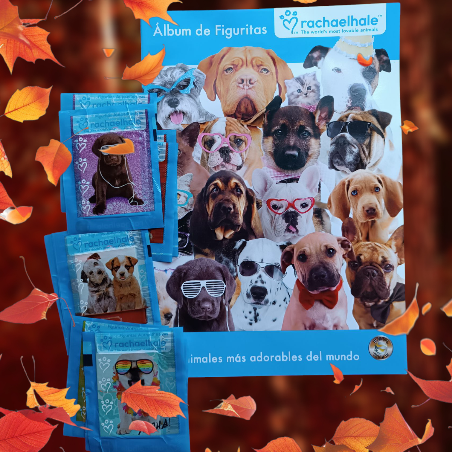 Álbum + 10 sobres de figuritas Rachaelhale