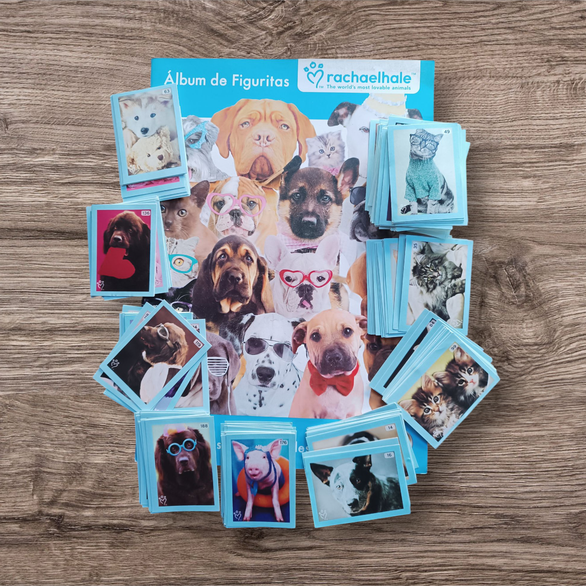 Combo Álbum + 189 figuritas sueltas a pegar Rachaelhale