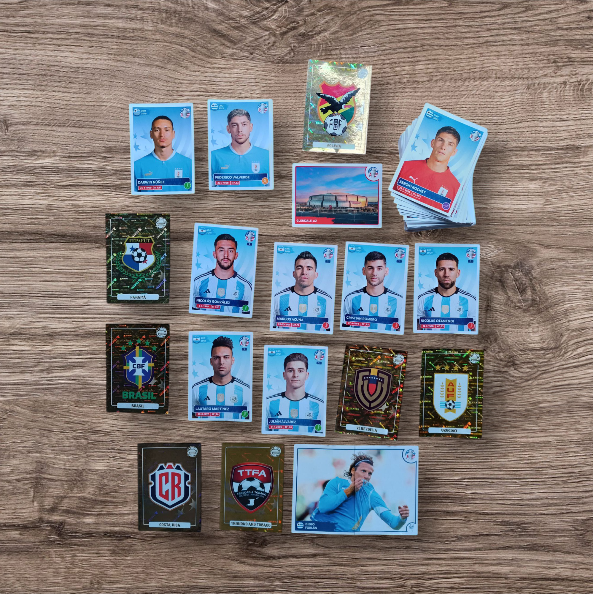 Lote 115 figuritas sin repetir Copa América 2024