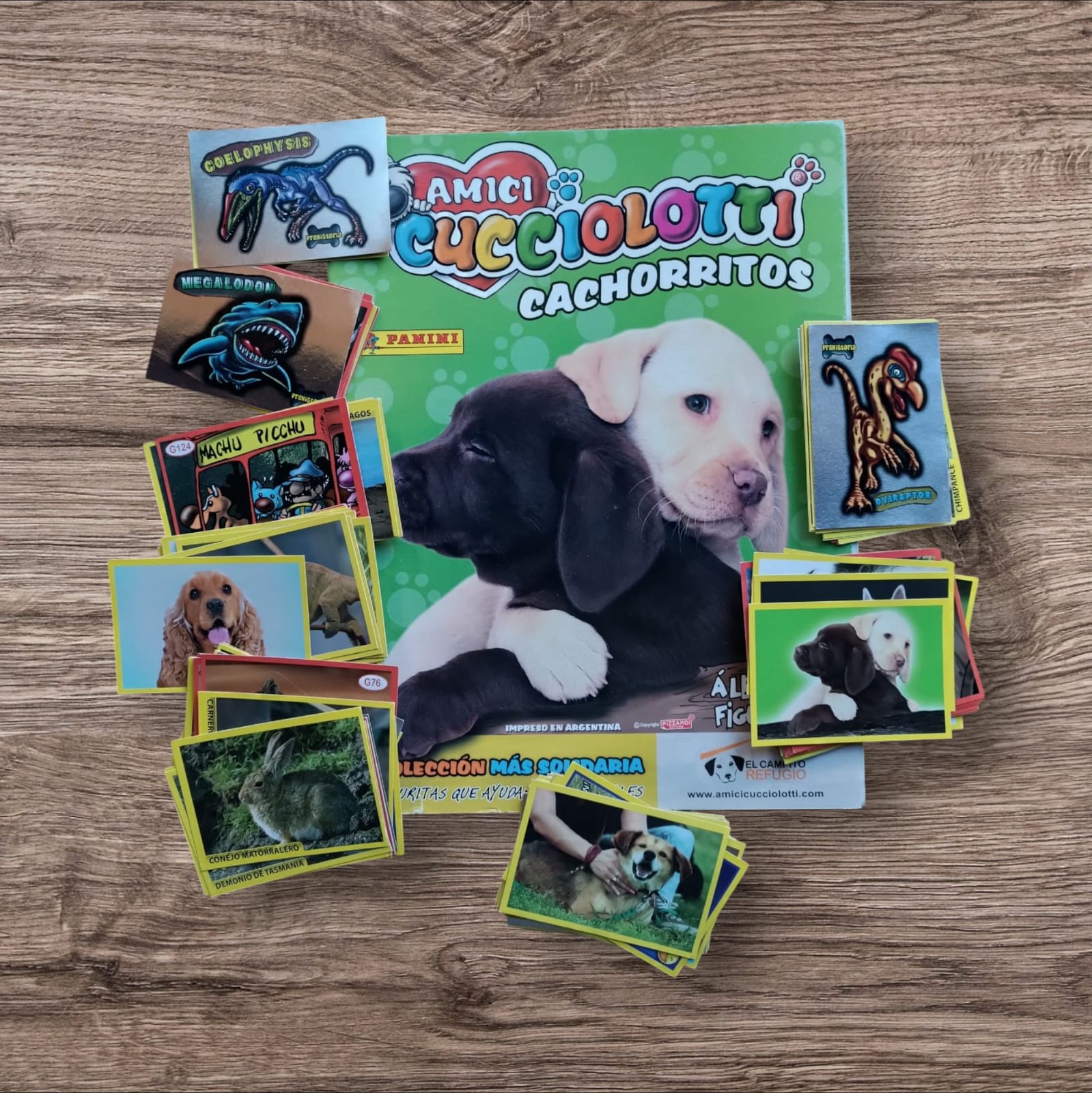 Álbum + 144 figuritas sin repetir Amici Cucchiolotti Cachorritos